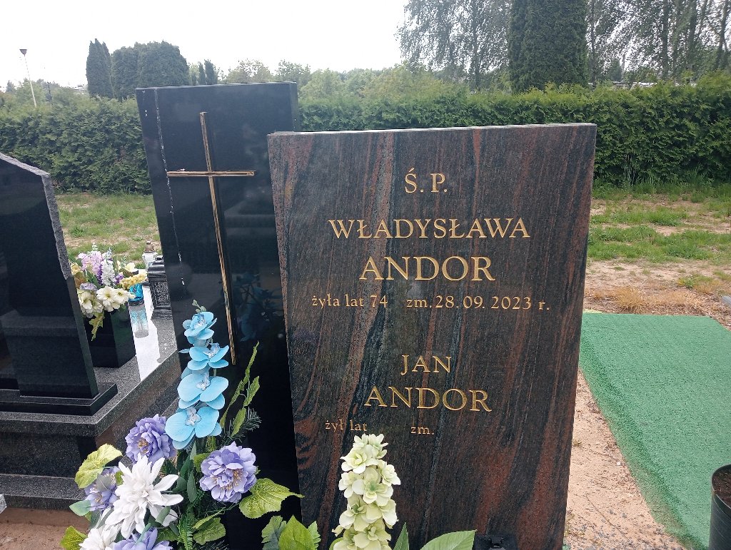 Grób Władysława Andor